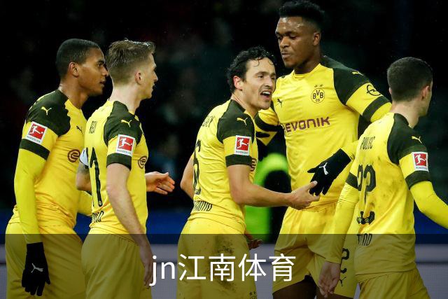 jn江南体育公司简介